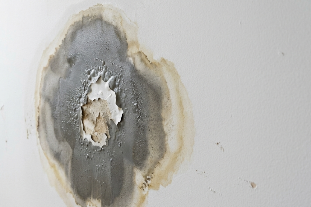 Residential Water Leak Detection