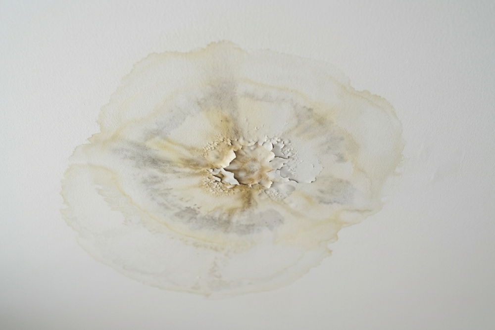 Roof & Ceiling Leak Detection